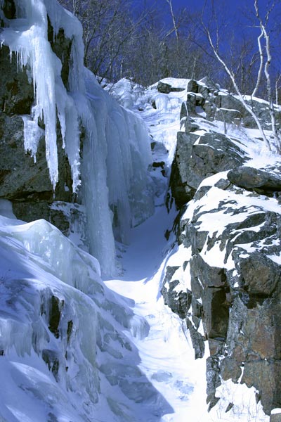 Trestle Gully