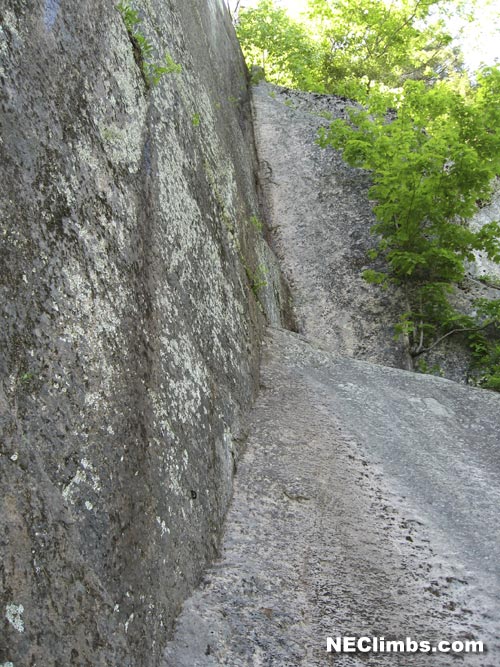 The Liger, Cathedral Ledge