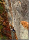 JacobsLadder