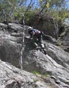 highSteppin