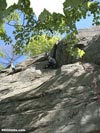 rockGarden
